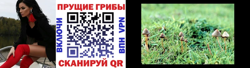 Псилоцибиновые грибы MAGIC MUSHROOMS  Абинск 