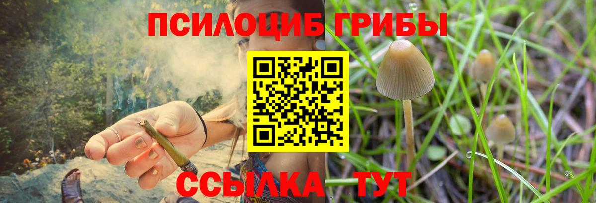 Галлюциногенные грибы мицелий  Галлюциногенные грибы Psilocybine cubensis  Абинск  Вход с VPN 